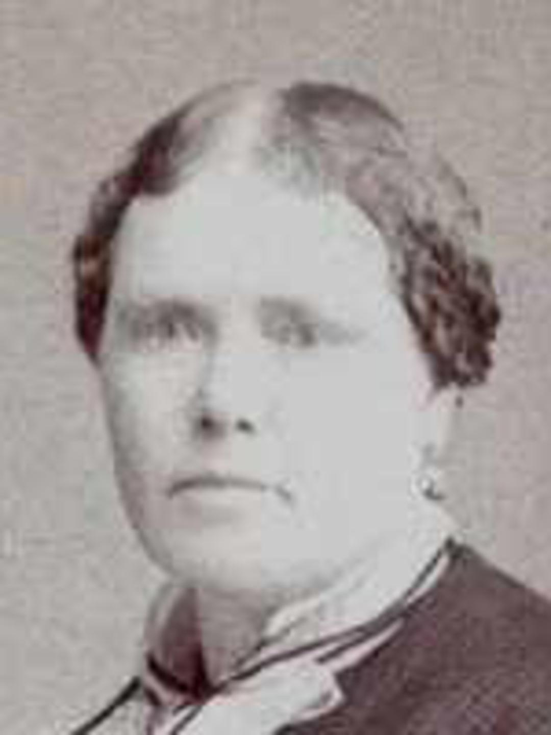 Sarah Jane Mitchell (1838 - 1907) Profile